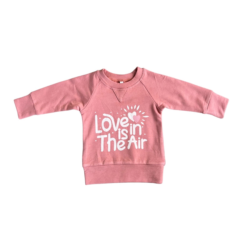 GIRLS LOVE IS IN THE AIR RAGLAN