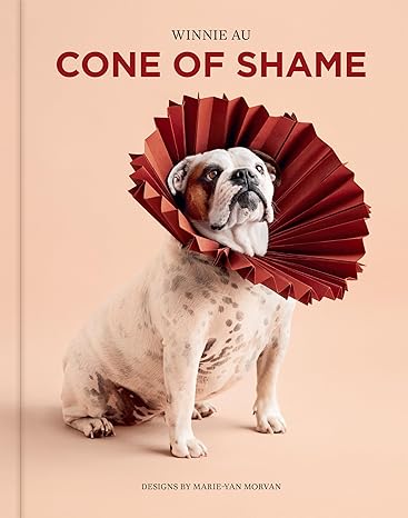 CONE OF SHAME