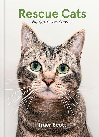 RESCUE CATS: PORTRAITS AND STORIES