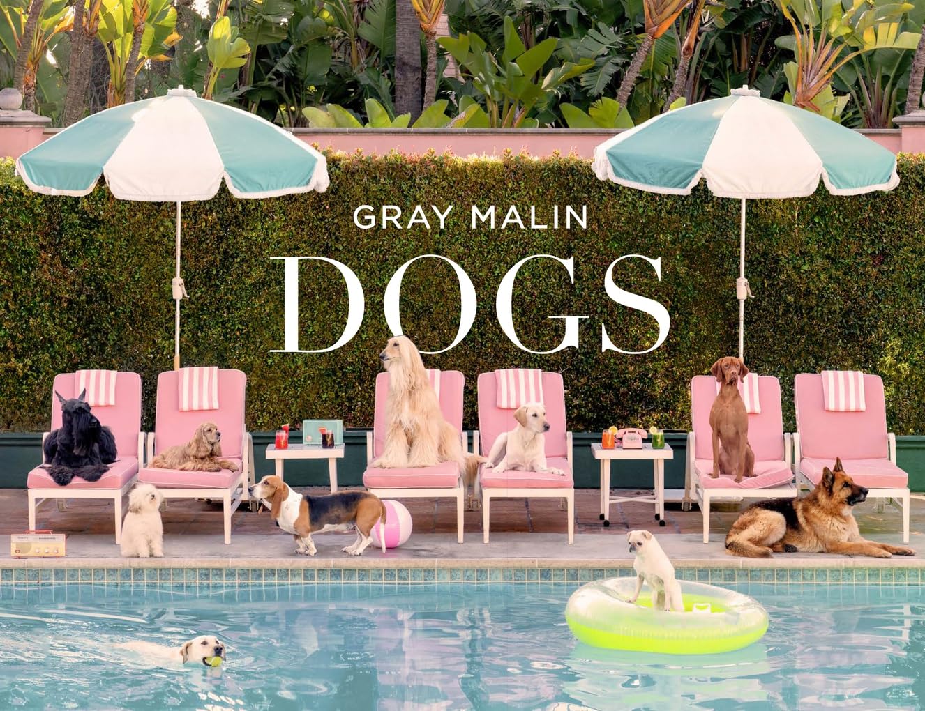 GRAY MALIN: DOGS BOOK