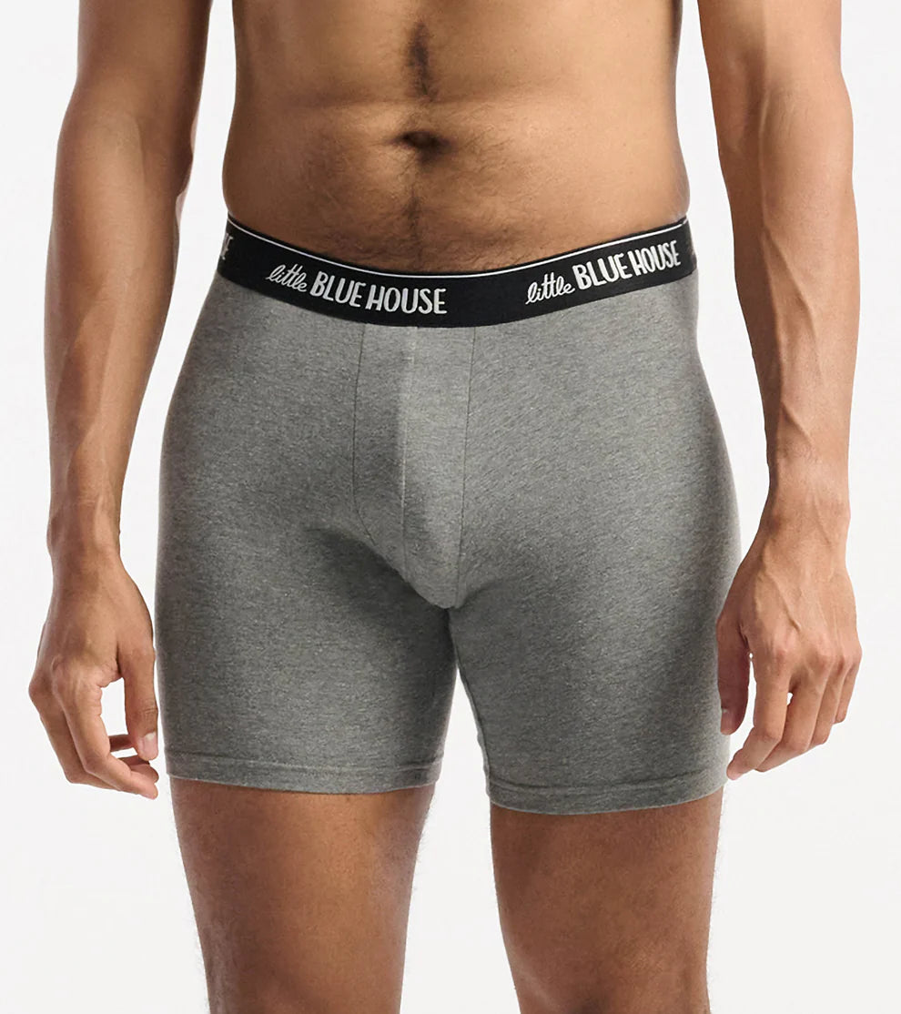 MENS NICE DINK BOXER BRIEF