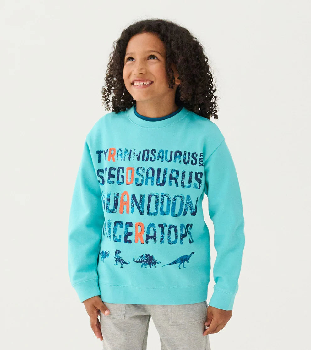 BOYS DINOSAUR ROAR PULL OVER SWEATSHIRT