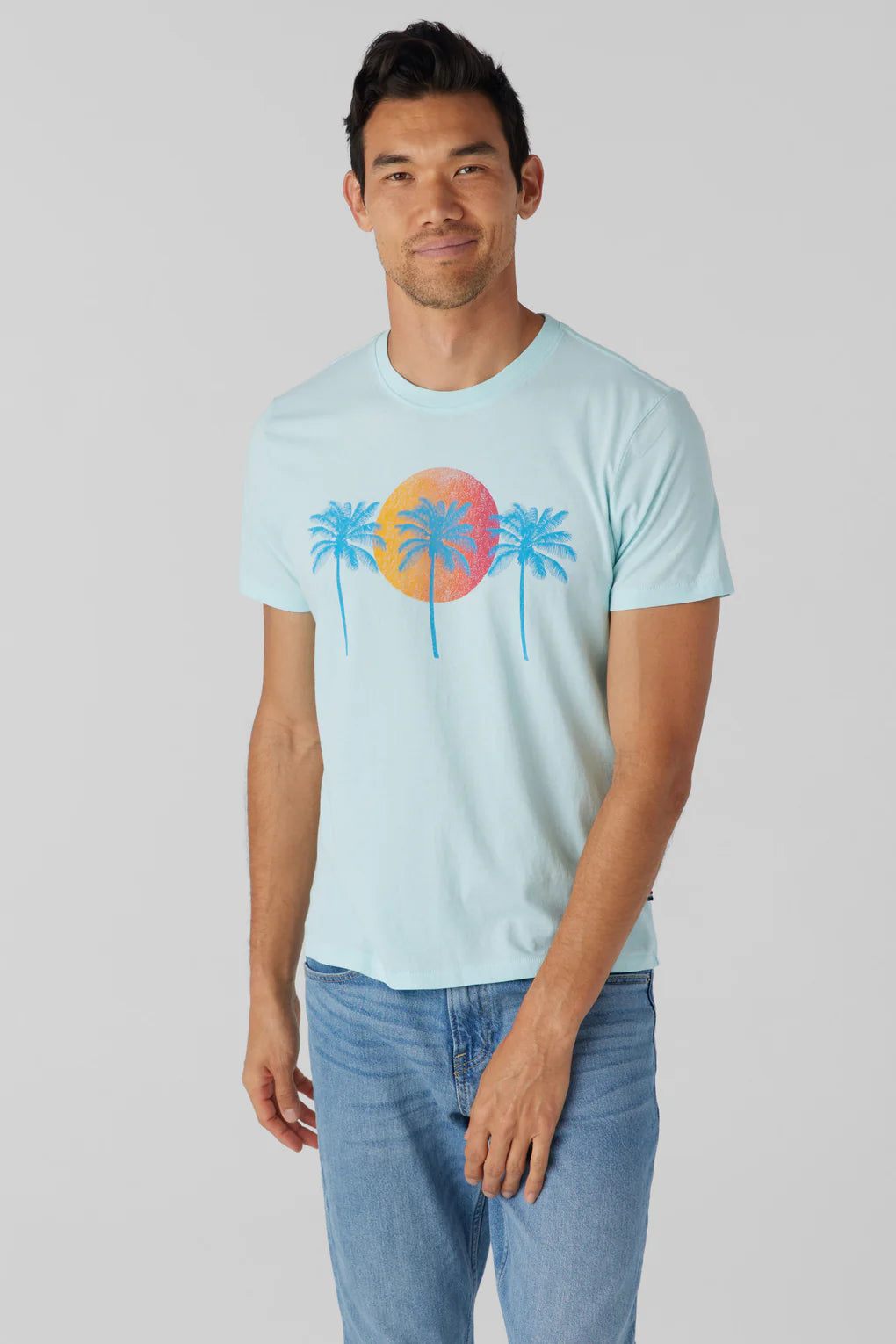 MENS SOL ANGELES PALM SUNSET TEE