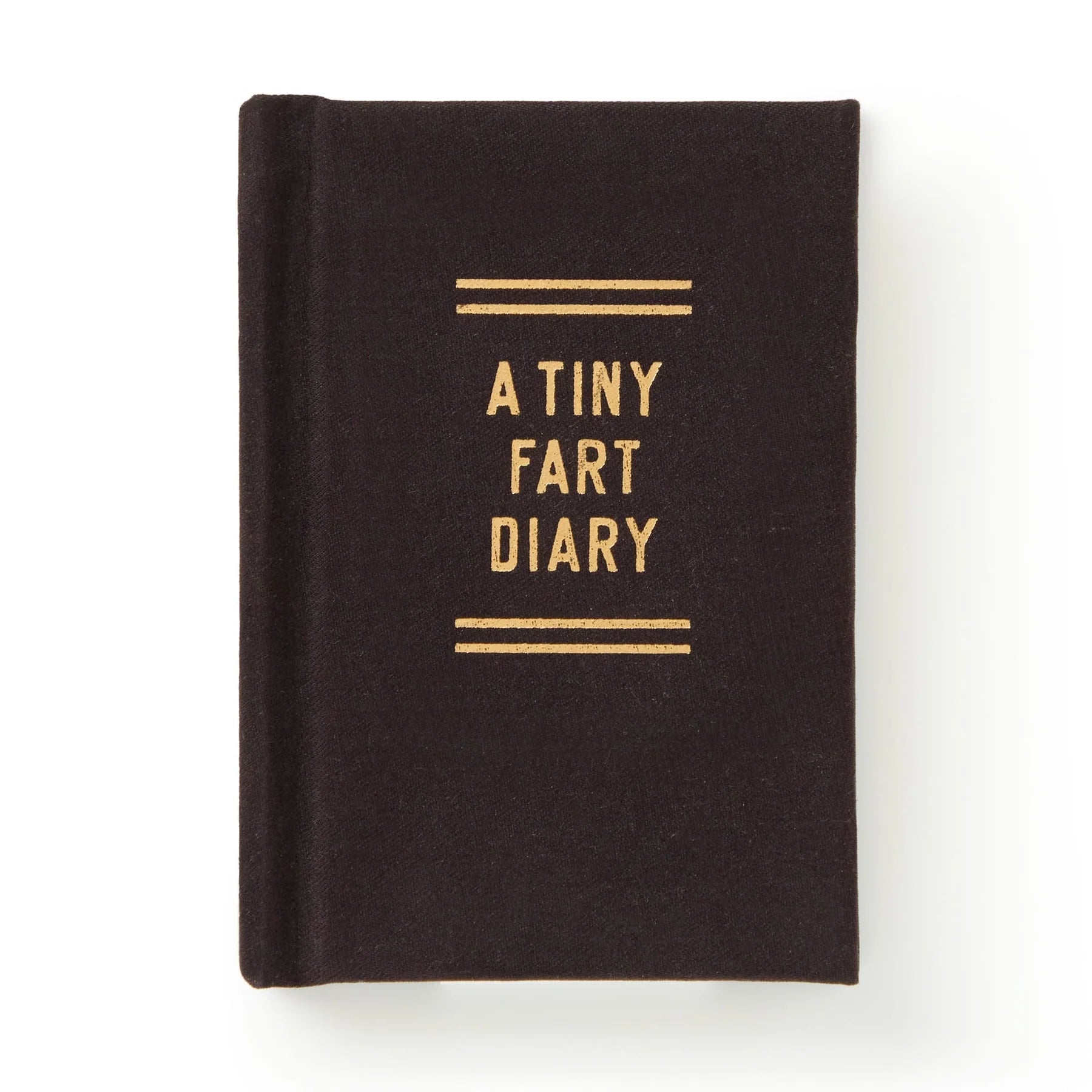 TINY FART DIARY