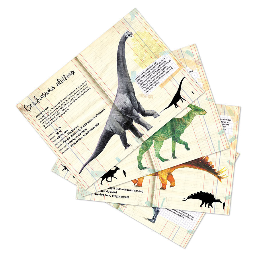 DINOSAUR MAGNETS